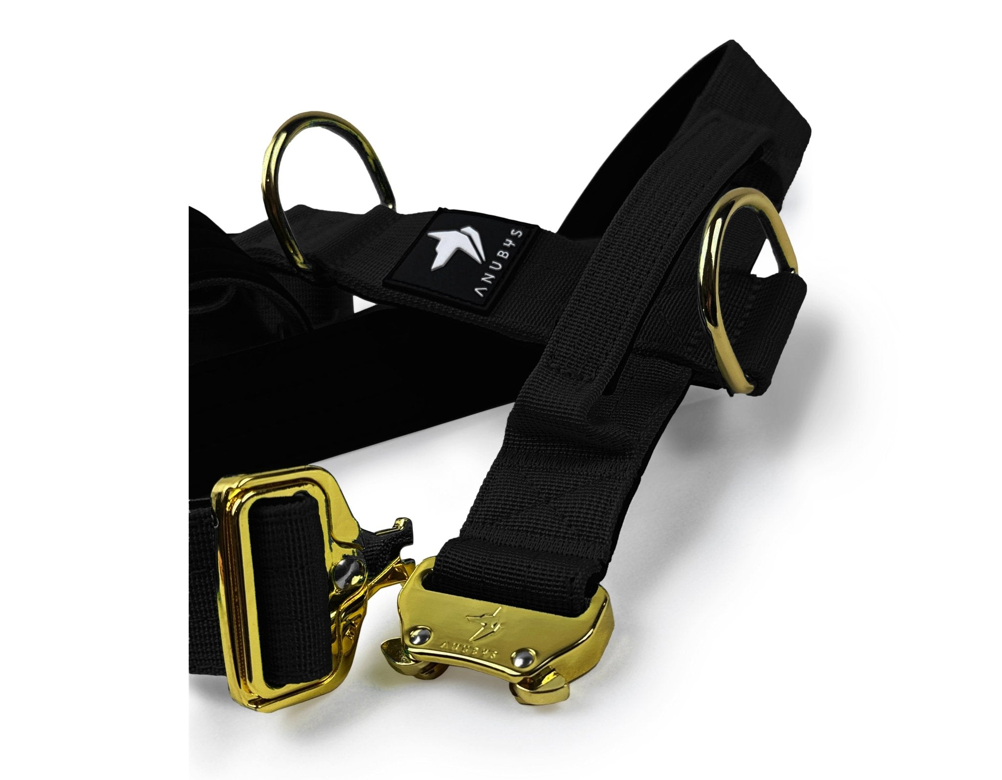 Dog Harness Fit Guide Anubys