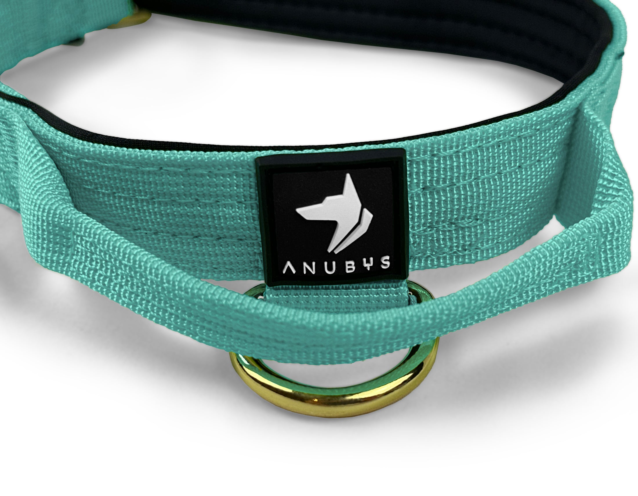 2.5cm Elite Tactical Collar | Tri-Layered | Turquoise - Anubys - X Small - Turquoise - -