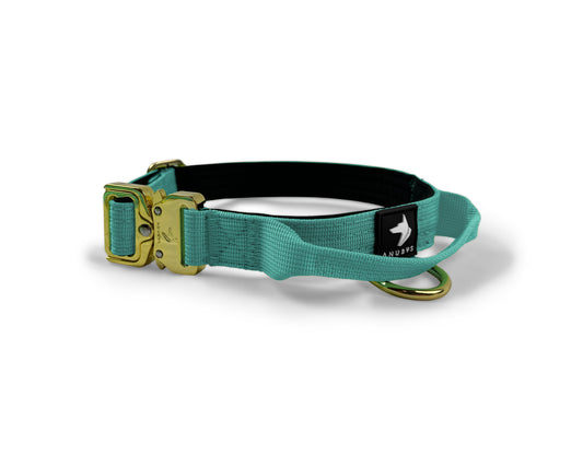 2.5cm Elite Tactical Collar | Tri-Layered | Turquoise - Anubys - X Small - Turquoise - -