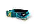 Load image into Gallery viewer, 4cm Elite Tactical Collar | Tri - Layered | Azure Blue - Anubys - Small -