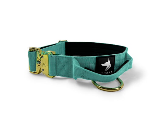 4cm Elite Tactical Collar | Tri-Layered | Turquoise - Anubys - Small - Turquoise - -