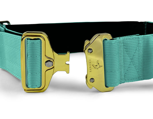 4cm Elite Tactical Collar | Tri-Layered | Turquoise - Anubys - Small - Turquoise - -