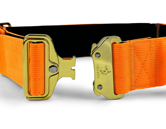 5cm Elite Tactical Collar | Tri - Layered | Neon Orange - Anubys - Small -