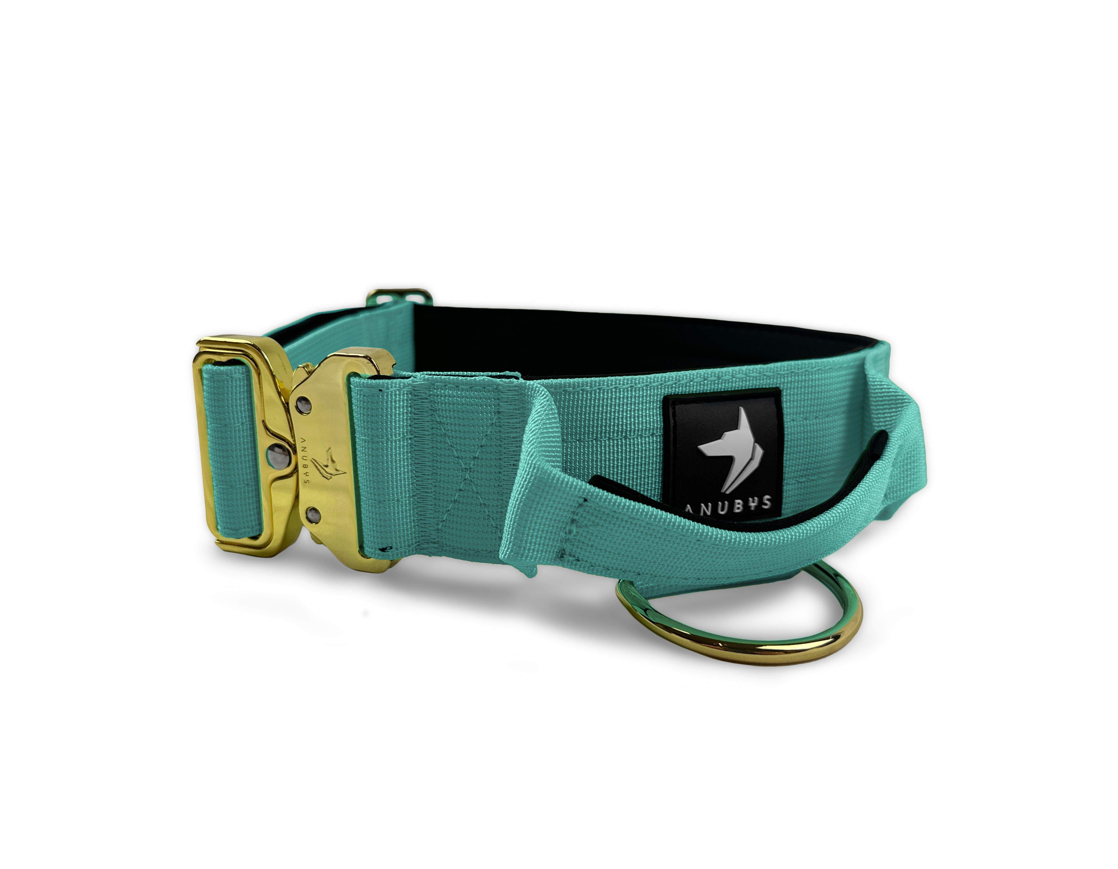 5cm Elite Tactical Collar | Tri-Layered | Turquoise - Anubys - Small - Turquoise - -
