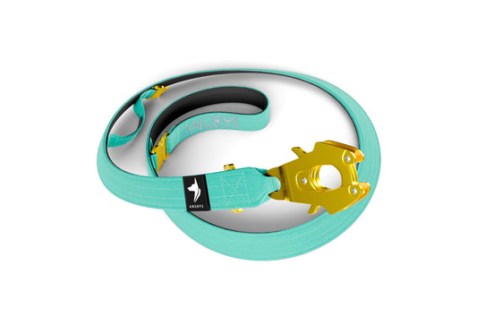 Adjustable Tactical Leash | Turquoise - Anubys -