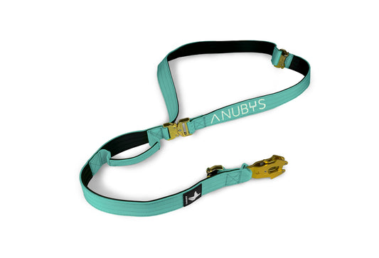 Tactical Adjustable Leash | Turquoise - Anubys - - -