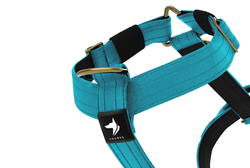 Tactical Harness | Anti - Pull Design | Azure Blue - Anubys - Small -