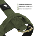 Load image into Gallery viewer, Tactical Harness | Anti - Pull Design | Camo Green - Anubys - Small -