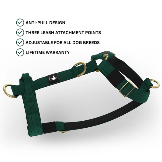 Tactical Harness | Anti - Pull Design | Emerald - Anubys - Small -