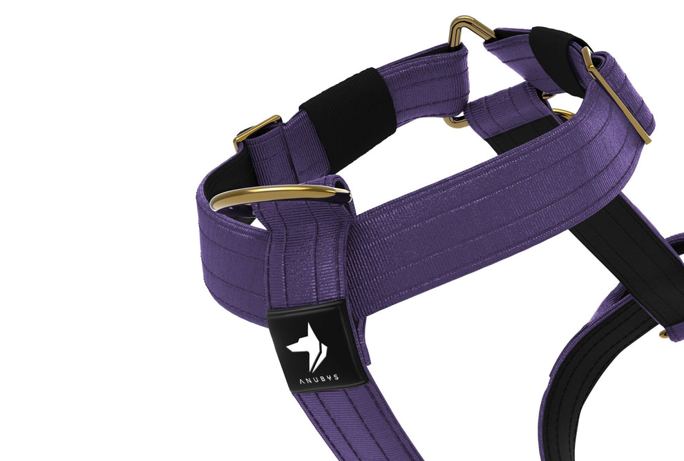 Tactical Harness | Anti - Pull Design | Indigo - Anubys - Small -