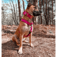 Load image into Gallery viewer, Tactical Harness | Anti - Pull Design | Magenta - Anubys - Small -