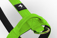 Load image into Gallery viewer, Tactical Harness | Anti-Pull Design | Neon Green - Anubys - Small - Neon Green - -
