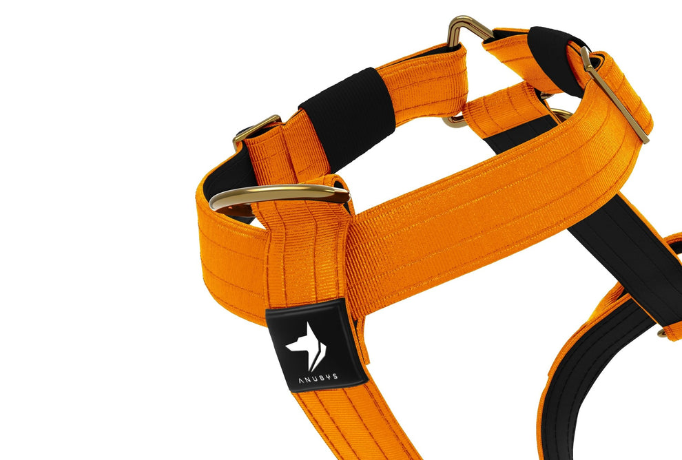 Tactical Harness | Anti - Pull Design | Neon Orange - Anubys - Small -