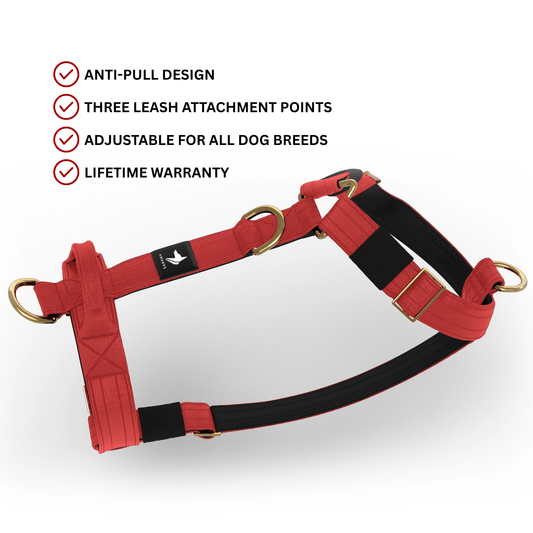 Tactical Harness | Anti - Pull Design | Red - Anubys - Small -