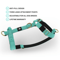 Load image into Gallery viewer, Tactical Harness | Anti - Pull Design | Turquoise - Anubys - Small -