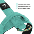 Load image into Gallery viewer, Tactical Harness | Anti - Pull Design | Turquoise - Anubys - Small -