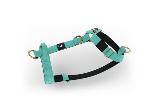 Tactical Harness | Anti-Pull Design | Turquoise - Anubys - Small - Turquoise - -