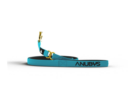 Tactical Leash | Military Grade | Azure Blue - Anubys -