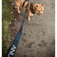 Load image into Gallery viewer, Tactical Leash | Military Grade | Black - Anubys -