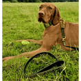 Load image into Gallery viewer, Tactical Leash | Military Grade | Camo Green - Anubys -