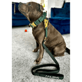 Load image into Gallery viewer, Tactical Leash | Military Grade | Emerald - Anubys -