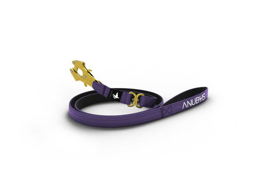 Tactical Leash | Military Grade | Indigo - Anubys -