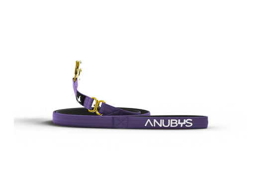 Tactical Leash | Military Grade | Indigo - Anubys -