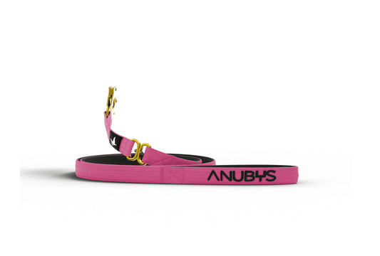Tactical Leash | Military Grade | Magenta - Anubys - Magenta - -