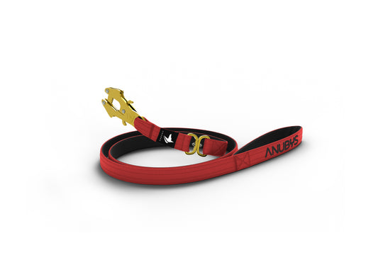 Tactical Leash | Military Grade | Red - Anubys - Red - -