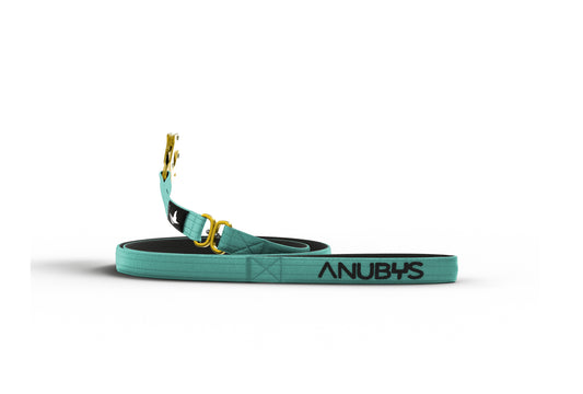 Tactical Leash | Military Grade | Turquoise - Anubys - Turquoise - -