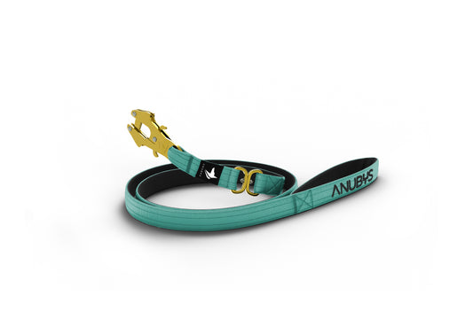 Tactical Leash | Military Grade | Turquoise - Anubys - Turquoise - -