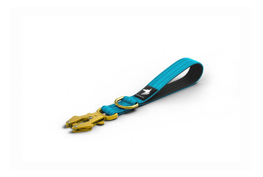 Tactical Short Leash | Total Control | Azure Blue - Anubys -