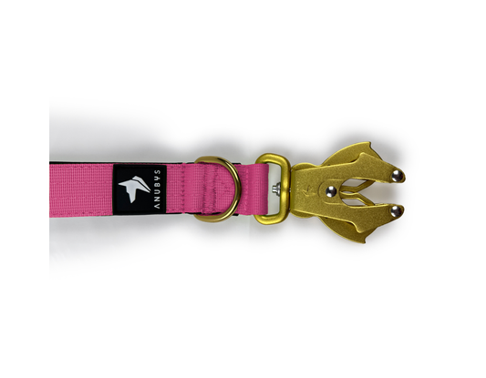 Tactical Short Leash | Total Control | Magenta - Anubys - Magenta - -