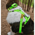 Load image into Gallery viewer, Tactical Short Leash | Total Control | Neon Green - Anubys -