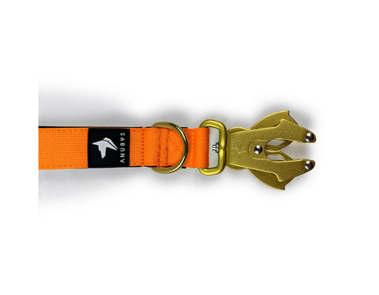 Tactical Short Leash | Total Control | Neon Orange - Anubys -