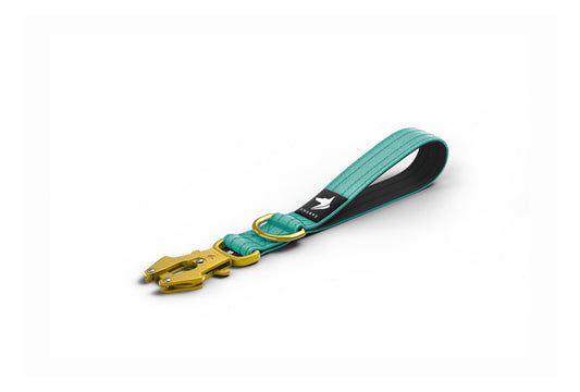 Tactical Short Leash | Total Control | Turquoise - Anubys - Turquoise - -