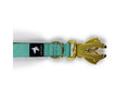 Load image into Gallery viewer, Tactical Short Leash | Total Control | Turquoise - Anubys - Turquoise - -