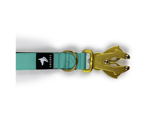 Tactical Short Leash | Total Control | Turquoise - Anubys - Turquoise - -