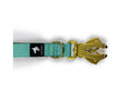 Load image into Gallery viewer, Tactical Short Leash | Total Control | Turquoise - Anubys - Turquoise - -
