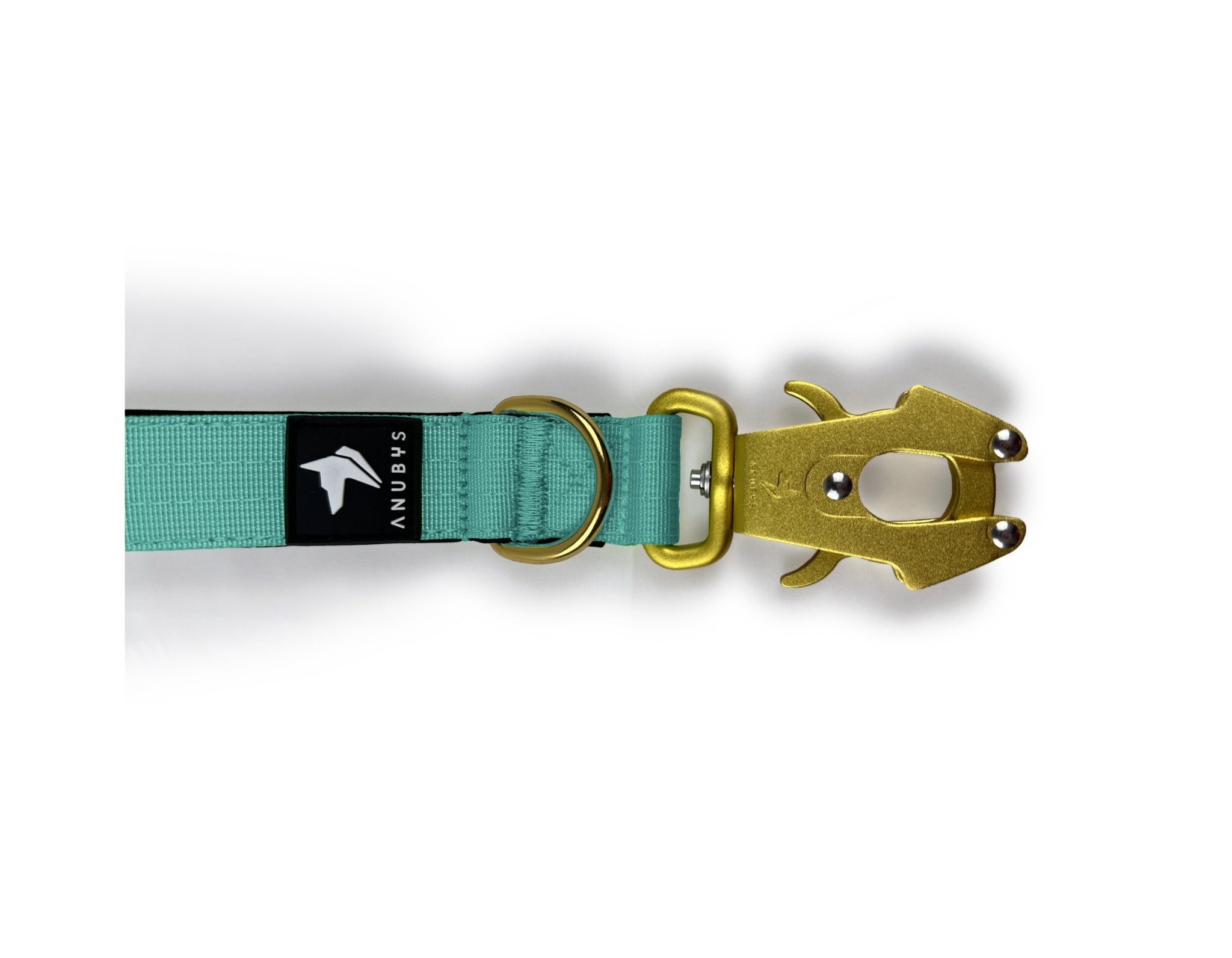 Tactical Short Leash | Total Control | Turquoise - Anubys - Turquoise - -