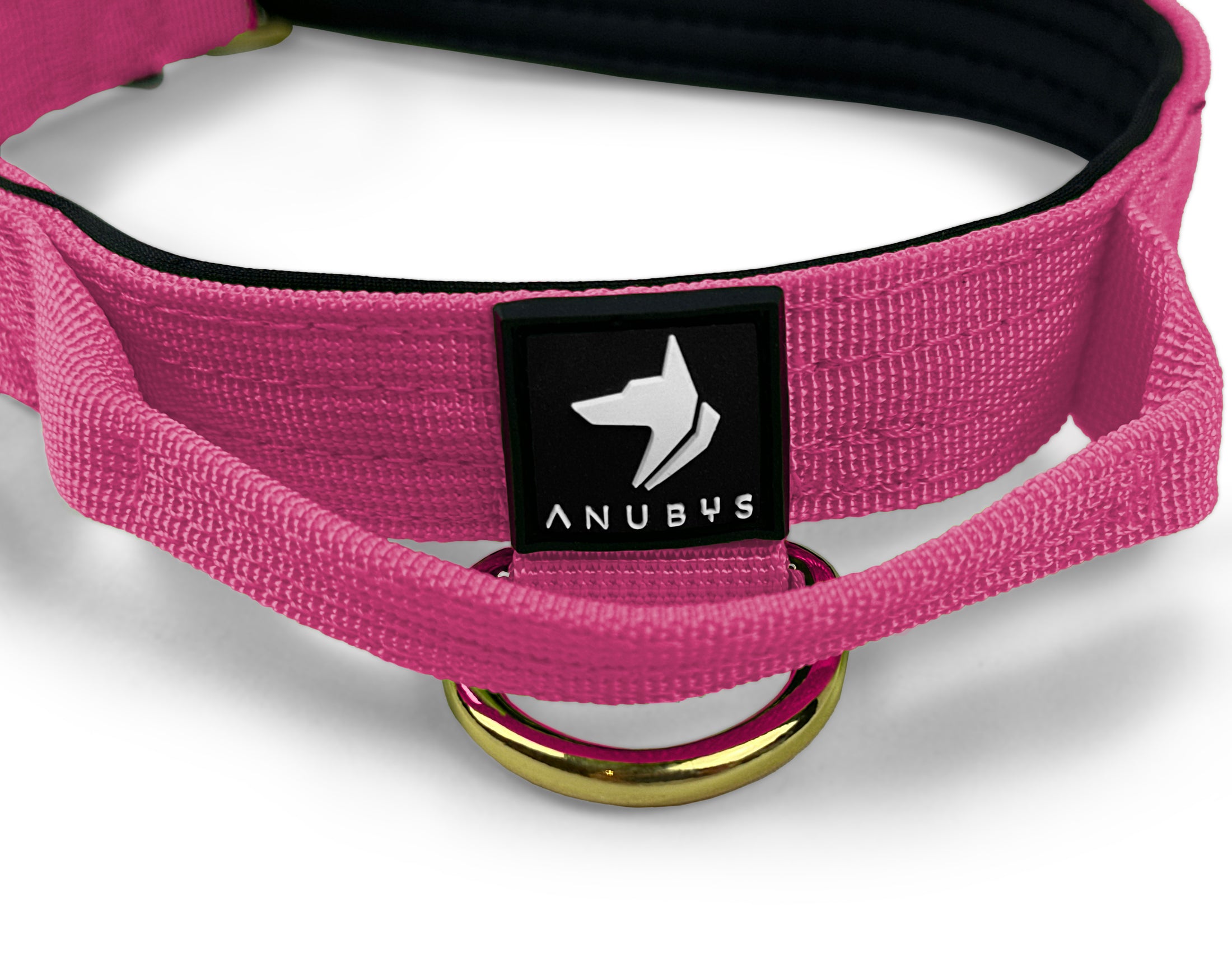 2.5cm Elite Tactical Collar | Tri-Layered | Magenta - Anubys - X Small - Magenta - -
