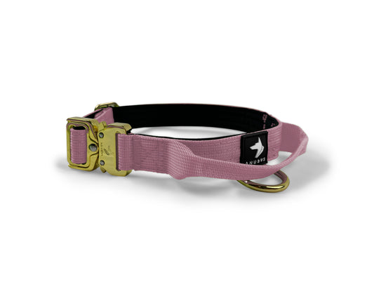 2.5cm Elite Tactical Collar | Tri-Layered | Pink - Anubys - X Small - Pink - -