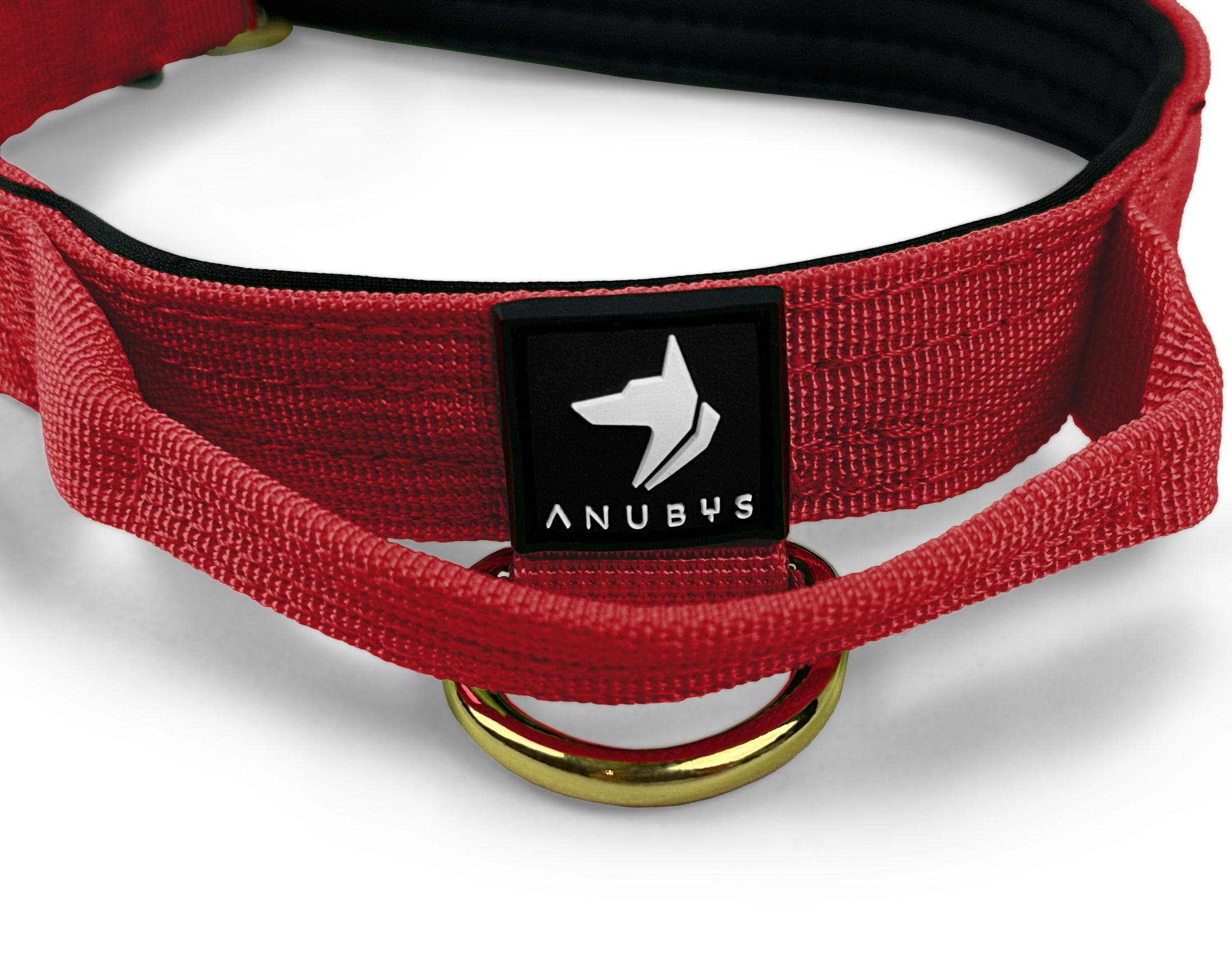 2.5cm Elite Tactical Collar | Tri-Layered | Red - Anubys - X Small - Red - -