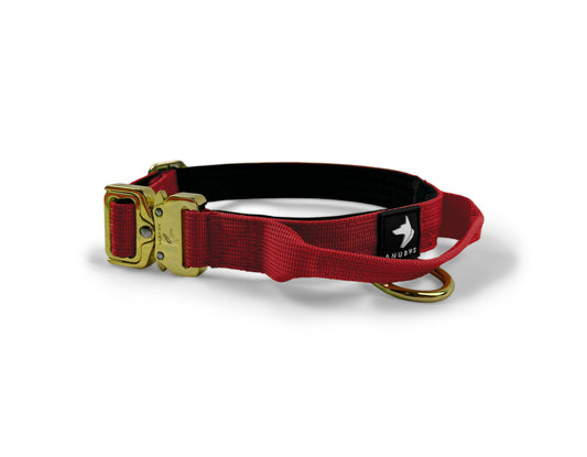 2.5cm Elite Tactical Collar | Tri-Layered | Red - Anubys - X Small - Red - -