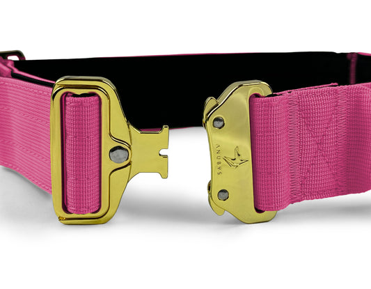 4cm Elite Tactical Collar | Tri-Layered | Magenta - Anubys - Small - Magenta - -