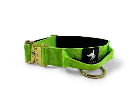 4cm Elite Tactical Collar | Tri-Layered | Neon Green - Anubys - Small - Neon Green - -