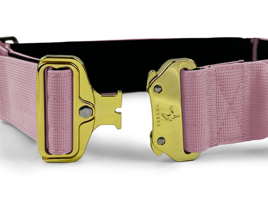 5cm Elite Tactical Collar | Tri-Layered | Pink - Anubys - Small - Pink - -