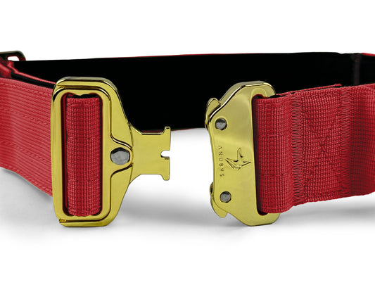 5cm Elite Tactical Collar | Tri-Layered | Red - Anubys - Red - Small - -