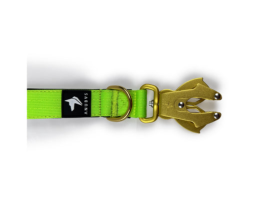 Tactical Short Leash | Total Control | Neon Green - Anubys - Neon Green - -