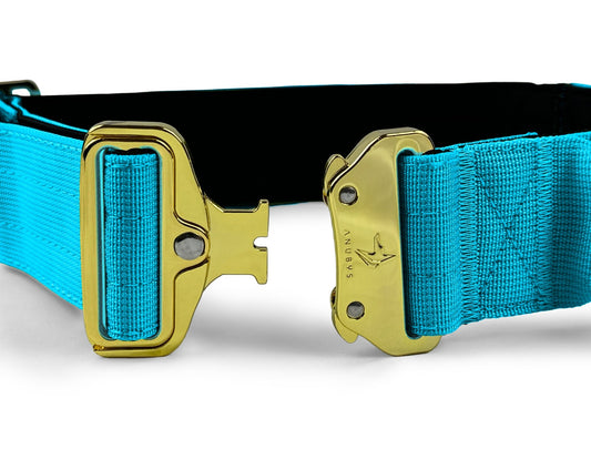4cm Elite Tactical Collar | Tri - Layered | Azure Blue - Anubys - Small - 